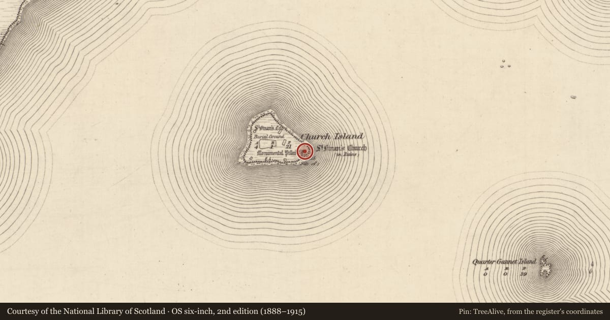 Ordnance Survey six-inch map, 2nd edition (1888–1915) covering the location of Cross-slab, Church Island, County Kerry, with a pin at the register's coordinates