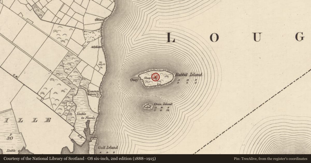 Ordnance Survey six-inch map, 2nd edition (1888–1915) covering the location of Enclosure, Rabbit Island, County Kerry, with a pin at the register's coordinates