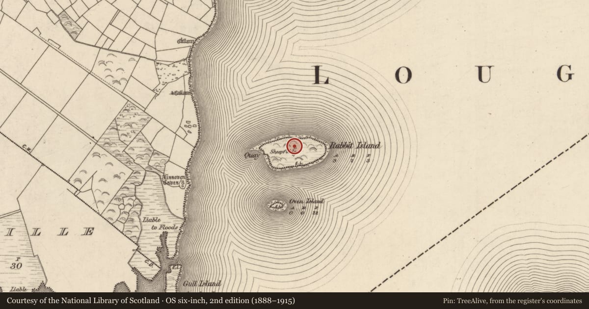 Ordnance Survey six-inch map, 2nd edition (1888–1915) covering the location of Hut site, Rabbit Island, County Kerry, with a pin at the register's coordinates