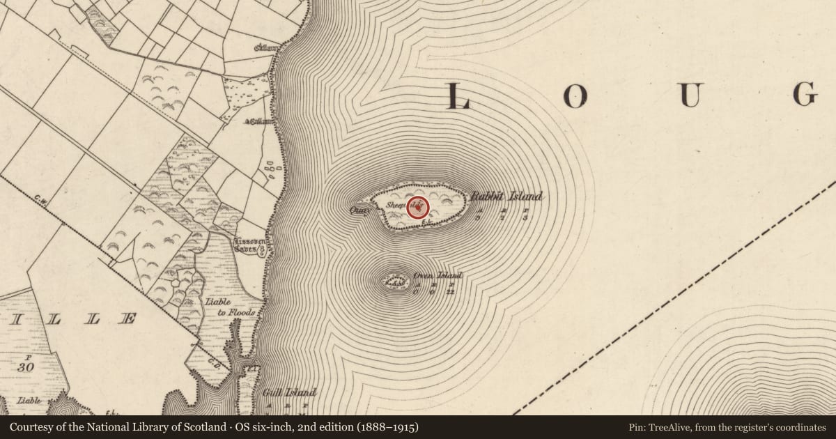 Ordnance Survey six-inch map, 2nd edition (1888–1915) covering the location of Cultivation ridges, Rabbit Island, County Kerry, with a pin at the register's coordinates