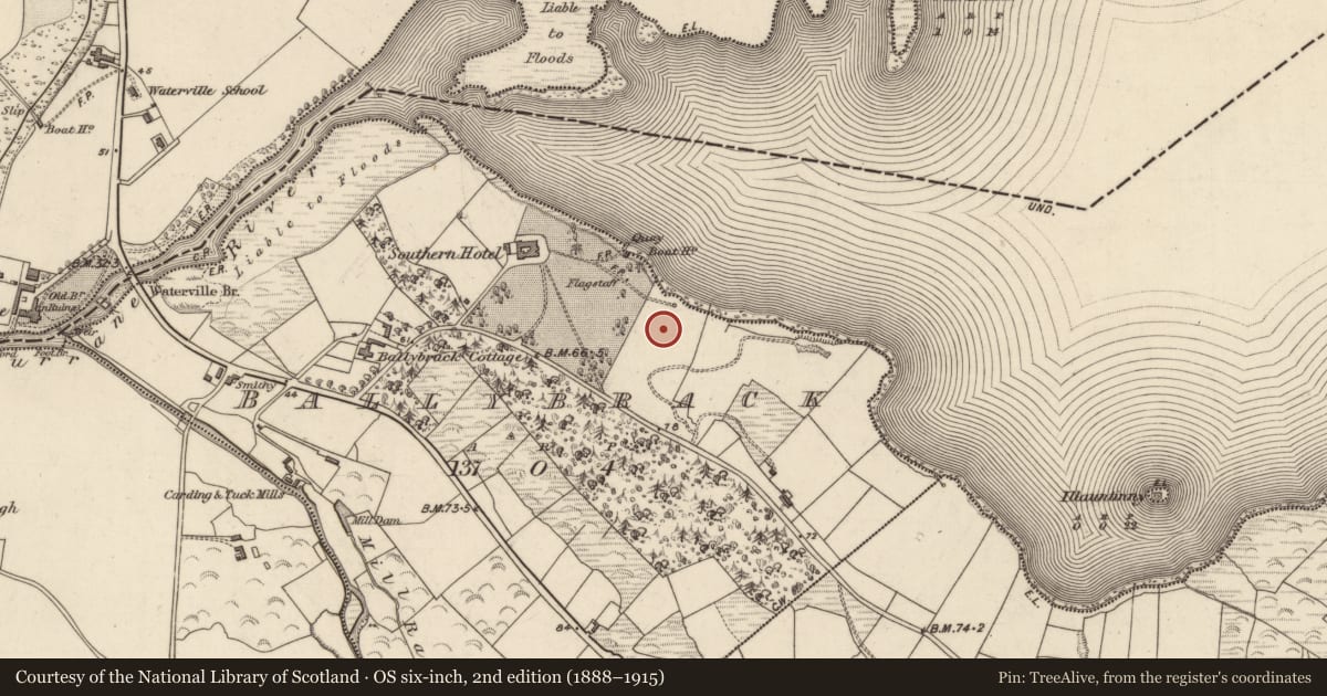 Ordnance Survey six-inch map, 2nd edition (1888–1915) covering the location of Ringfort - cashel, Ballybrack, County Kerry, with a pin at the register's coordinates