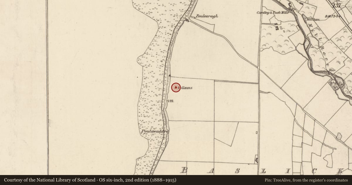 Ordnance Survey six-inch map, 2nd edition (1888–1915) covering the location of Anomalous stone group, Baslickane, County Kerry, with a pin at the register's coordinates