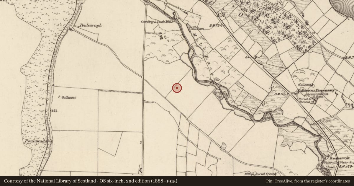 Ordnance Survey six-inch map, 2nd edition (1888–1915) covering the location of Hut site, Baslickane, County Kerry, with a pin at the register's coordinates