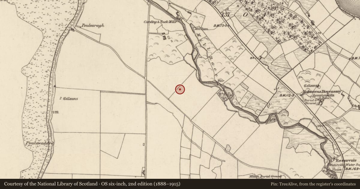Ordnance Survey six-inch map, 2nd edition (1888–1915) covering the location of Hut site, Baslickane, County Kerry, with a pin at the register's coordinates