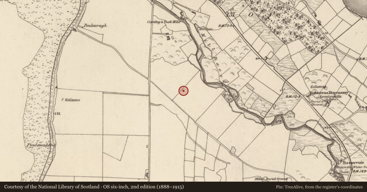 Ordnance Survey six-inch map, 2nd edition (1888–1915) covering the location of Hut site, Baslickane, County Kerry, with a pin at the register's coordinates