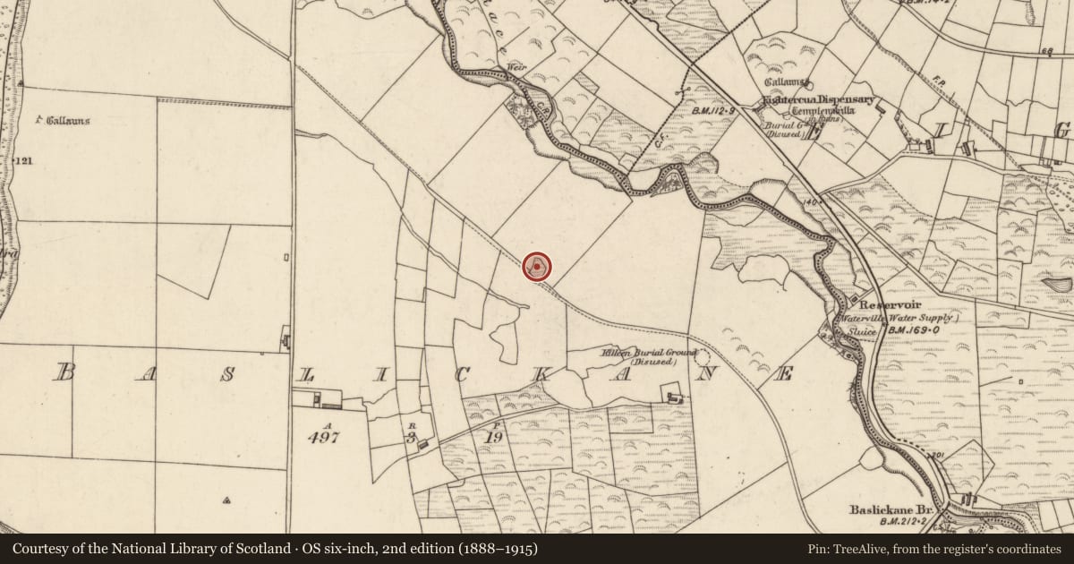Ordnance Survey six-inch map, 2nd edition (1888–1915) covering the location of Ringfort - cashel, Baslickane, County Kerry, with a pin at the register's coordinates