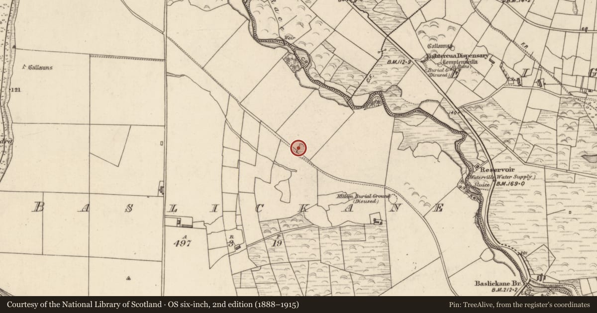 Ordnance Survey six-inch map, 2nd edition (1888–1915) covering the location of Souterrain, Baslickane, County Kerry, with a pin at the register's coordinates