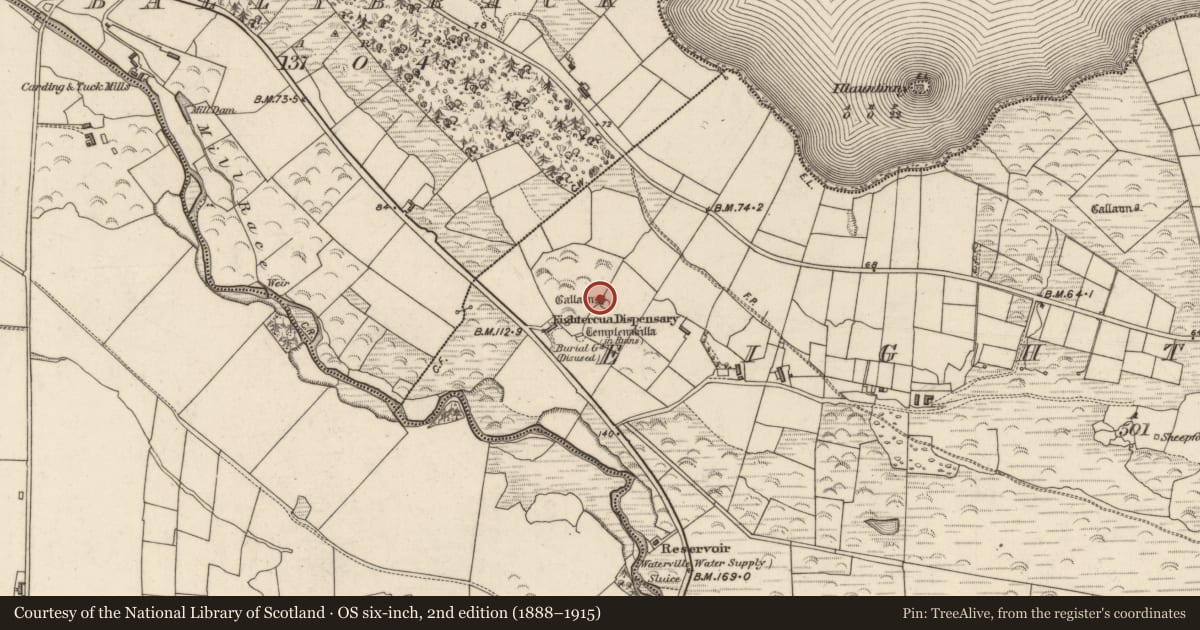 Ordnance Survey six-inch map, 2nd edition (1888–1915) covering the location of Stone row, Íochtar Cua, County Kerry, with a pin at the register's coordinates