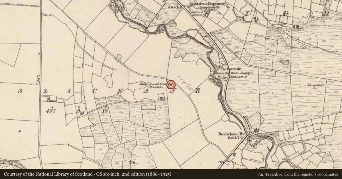 Ordnance Survey six-inch map, 2nd edition (1888–1915) covering the location of Ecclesiastical enclosure, Baslickane, County Kerry, with a pin at the register's coordinates