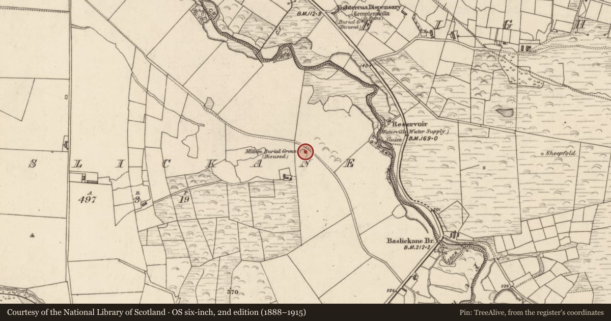 Ordnance Survey six-inch map, 2nd edition (1888–1915) covering the location of Cross, Baslickane, County Kerry, with a pin at the register's coordinates