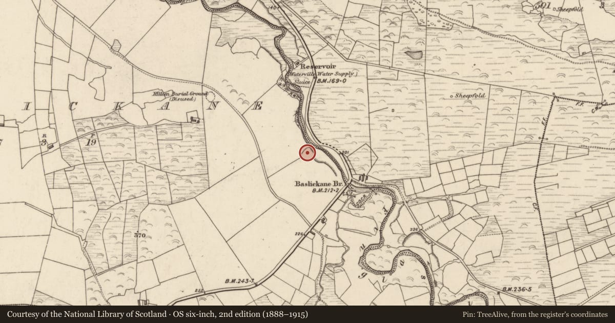 Ordnance Survey six-inch map, 2nd edition (1888–1915) covering the location of Ringfort - rath, Baslickane, County Kerry, with a pin at the register's coordinates