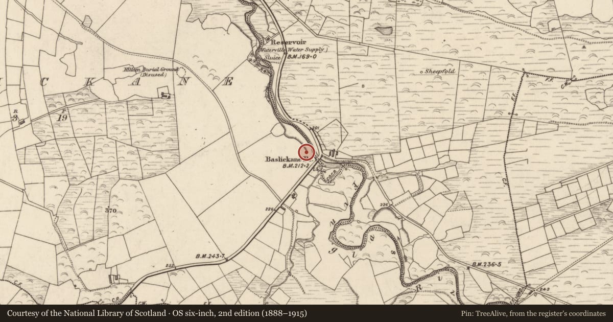 Ordnance Survey six-inch map, 2nd edition (1888–1915) covering the location of Enclosure, Baslickane, County Kerry, with a pin at the register's coordinates