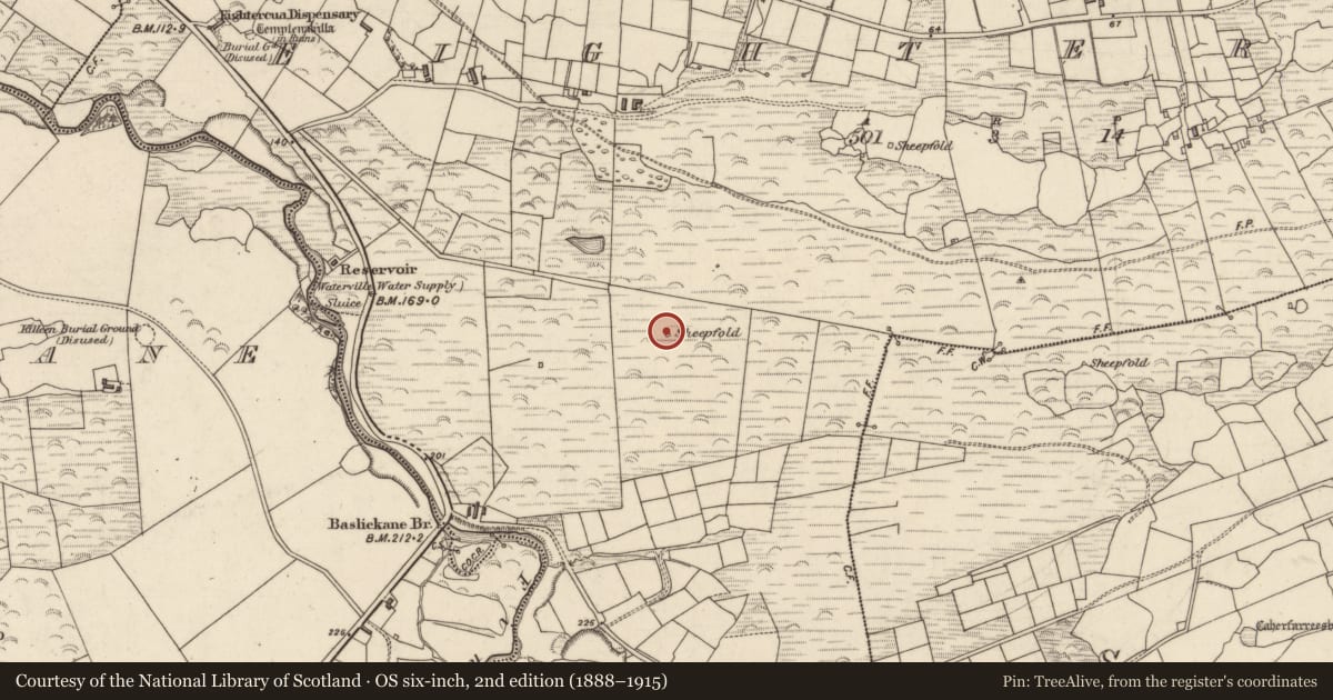 Ordnance Survey six-inch map, 2nd edition (1888–1915) covering the location of Sheepfold, Íochtar Cua, County Kerry, with a pin at the register's coordinates