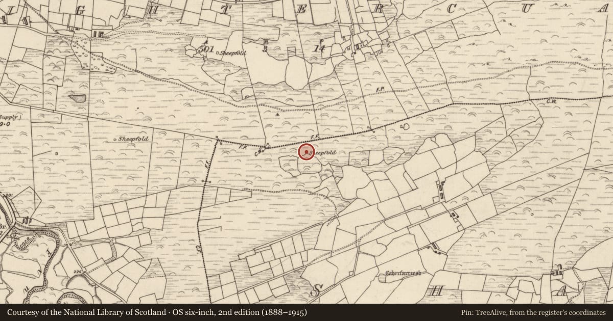 Ordnance Survey six-inch map, 2nd edition (1888–1915) covering the location of Hut site, An Seanchnoc (Dún Cíaráin Theas), County Kerry, with a pin at the register's coordinates