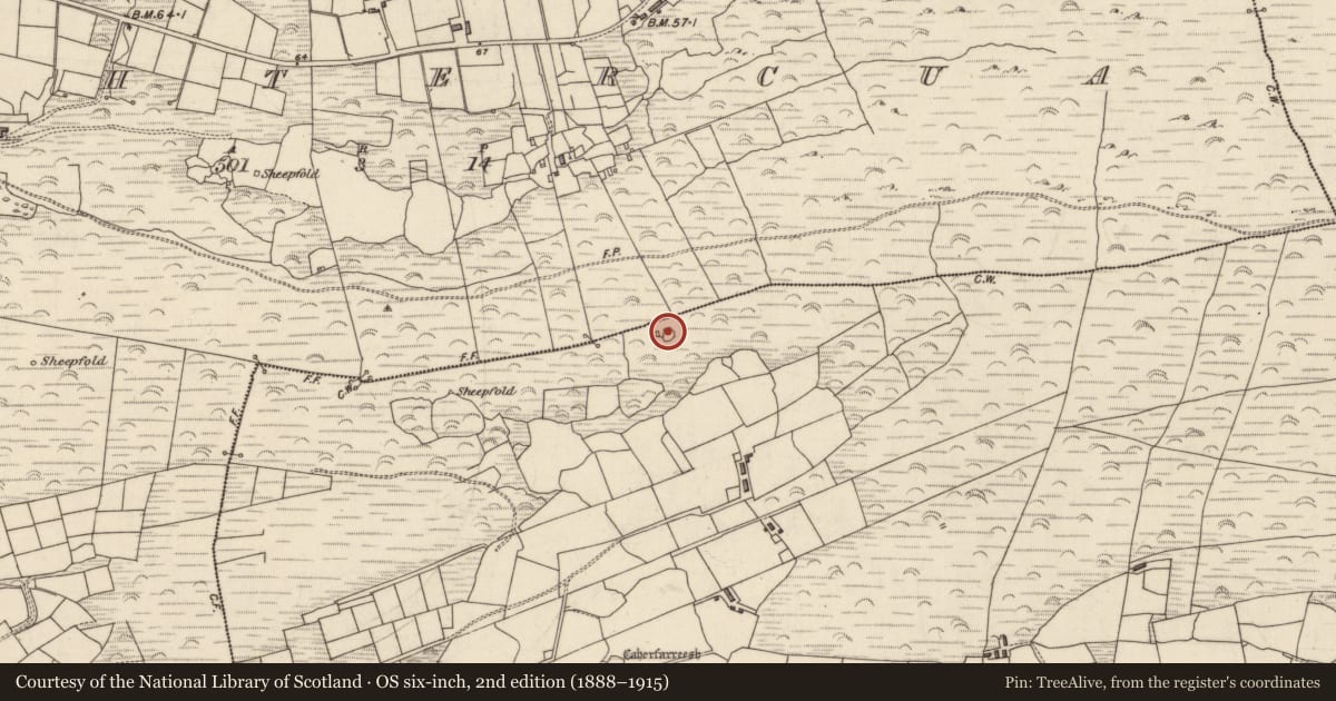 Ordnance Survey six-inch map, 2nd edition (1888–1915) covering the location of Enclosure, An Seanchnoc (Dún Cíaráin Theas), County Kerry, with a pin at the register's coordinates