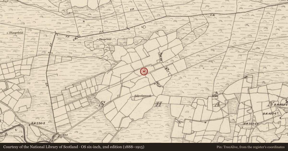 Ordnance Survey six-inch map, 2nd edition (1888–1915) covering the location of Standing stone, An Seanchnoc (Dún Cíaráin Theas), County Kerry, with a pin at the register's coordinates