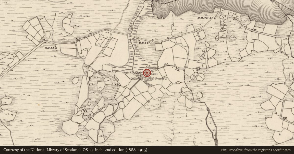 Ordnance Survey six-inch map, 2nd edition (1888–1915) covering the location of Ringfort - rath, Inse Fhearann Na Gcléireach, County Kerry, with a pin at the register's coordinates