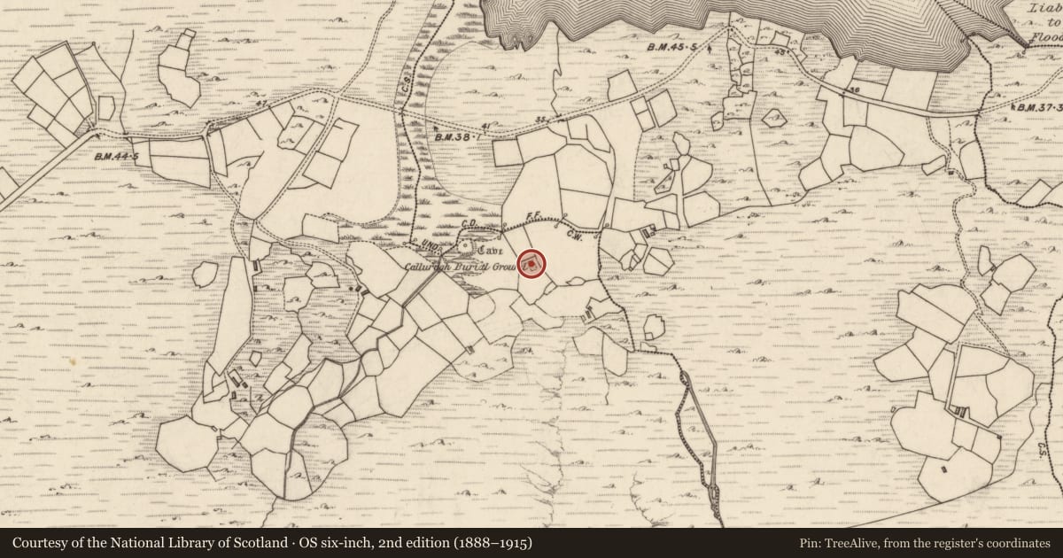 Ordnance Survey six-inch map, 2nd edition (1888–1915) covering the location of Children's burial ground, Inse Fhearann Na Gcléireach, County Kerry, with a pin at the register's coordinates