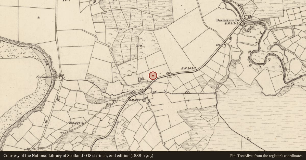 Ordnance Survey six-inch map, 2nd edition (1888–1915) covering the location of Ringfort - cashel, Baslickane, County Kerry, with a pin at the register's coordinates