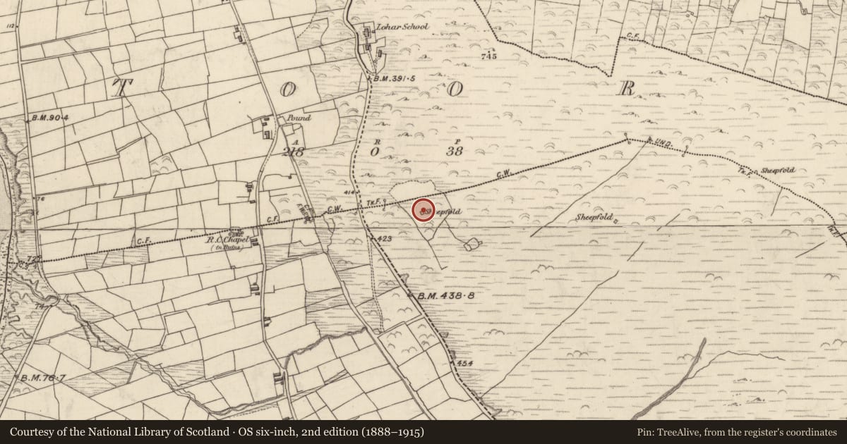Ordnance Survey six-inch map, 2nd edition (1888–1915) covering the location of Hut site, An Lóthar, County Kerry, with a pin at the register's coordinates