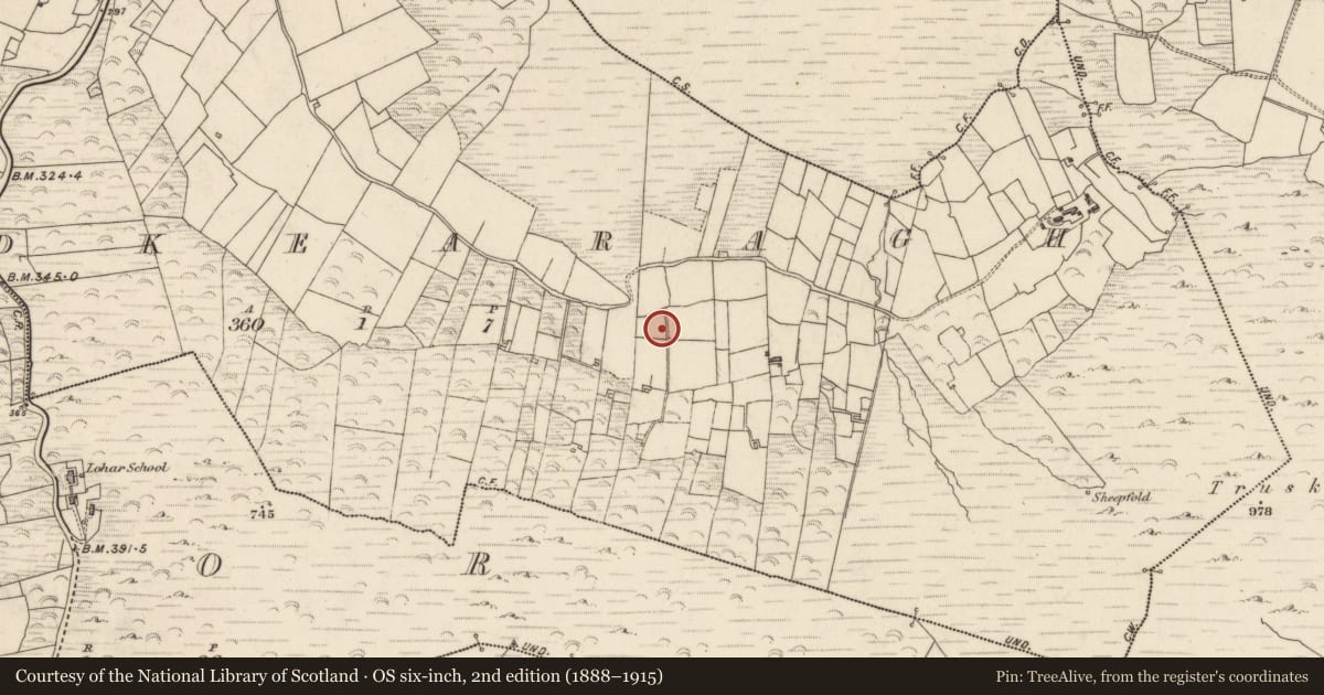 Ordnance Survey six-inch map, 2nd edition (1888–1915) covering the location of Standing stone, Ardkearagh, County Kerry, with a pin at the register's coordinates