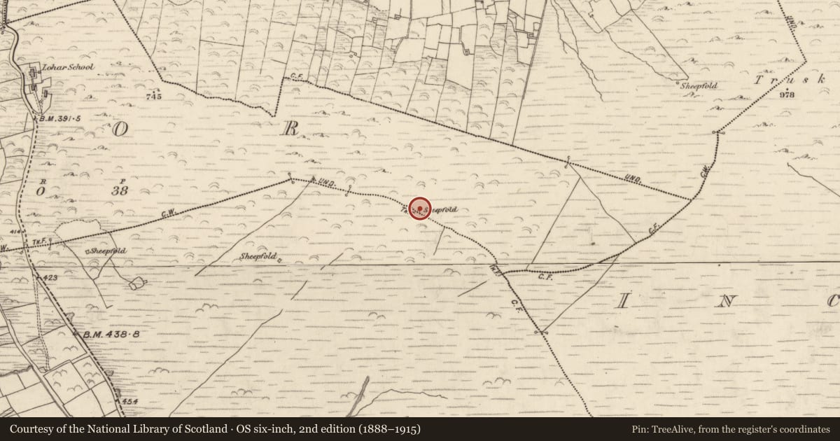 Ordnance Survey six-inch map, 2nd edition (1888–1915) covering the location of Hut site, Teamhair (Dún Cíaráin Theas), County Kerry, with a pin at the register's coordinates