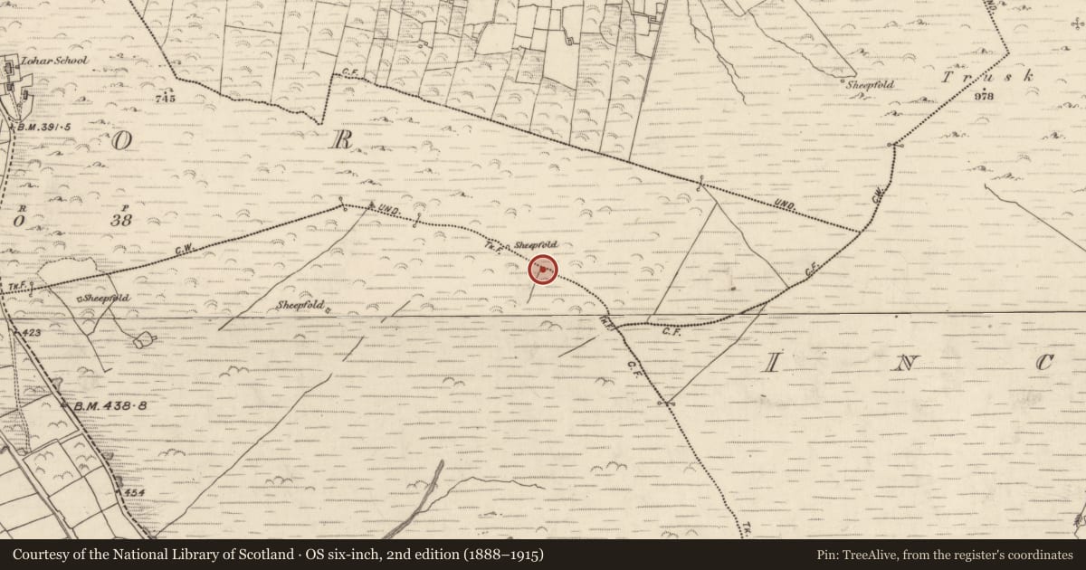 Ordnance Survey six-inch map, 2nd edition (1888–1915) covering the location of Field boundary, An Lóthar, Teamhair (Dún Cíaráin Theas), County Kerry, with a pin at the register's coordinates