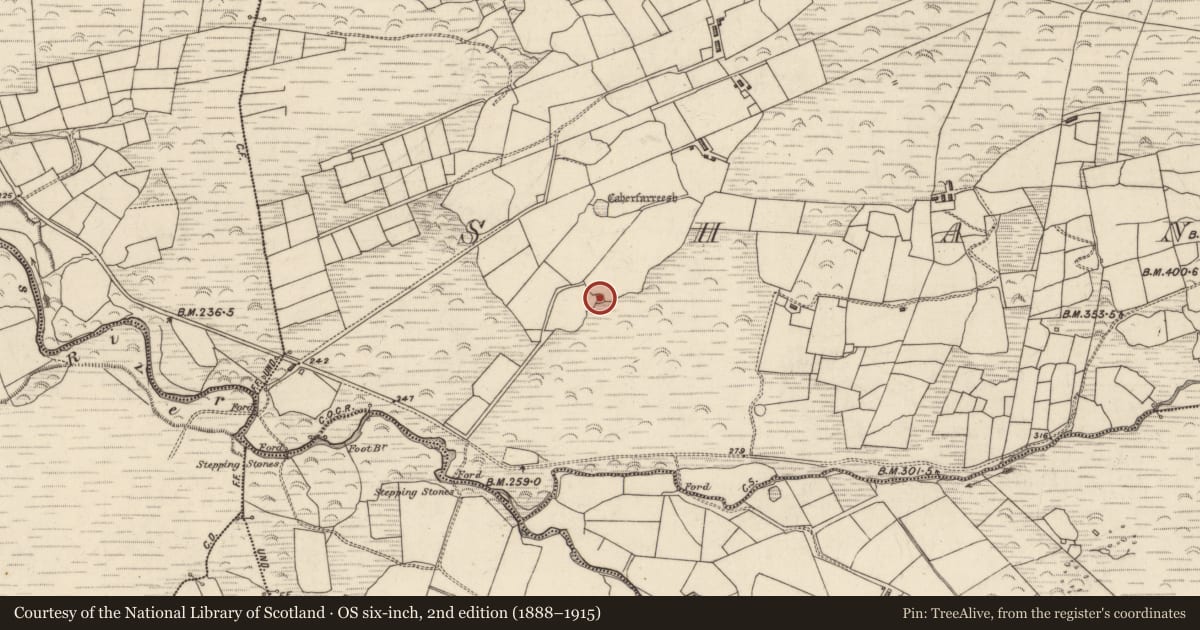 Ordnance Survey six-inch map, 2nd edition (1888–1915) covering the location of Ringfort - rath, An Seanchnoc (Dún Cíaráin Theas), County Kerry, with a pin at the register's coordinates