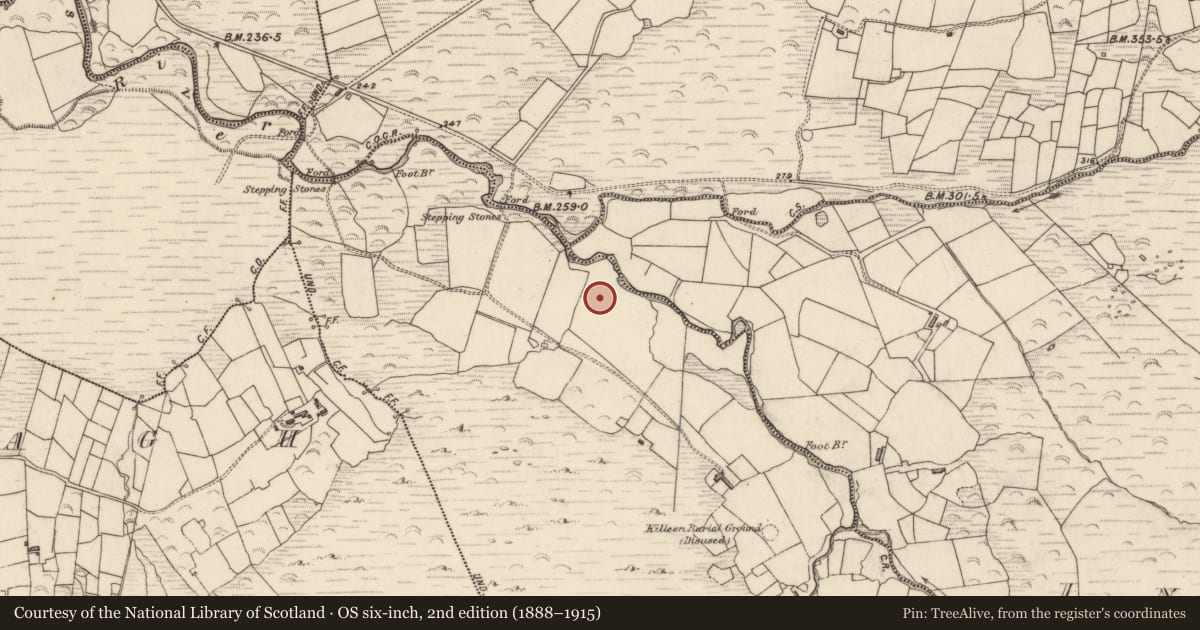 Ordnance Survey six-inch map, 2nd edition (1888–1915) covering the location of Hut site, Inchee West, County Kerry, with a pin at the register's coordinates