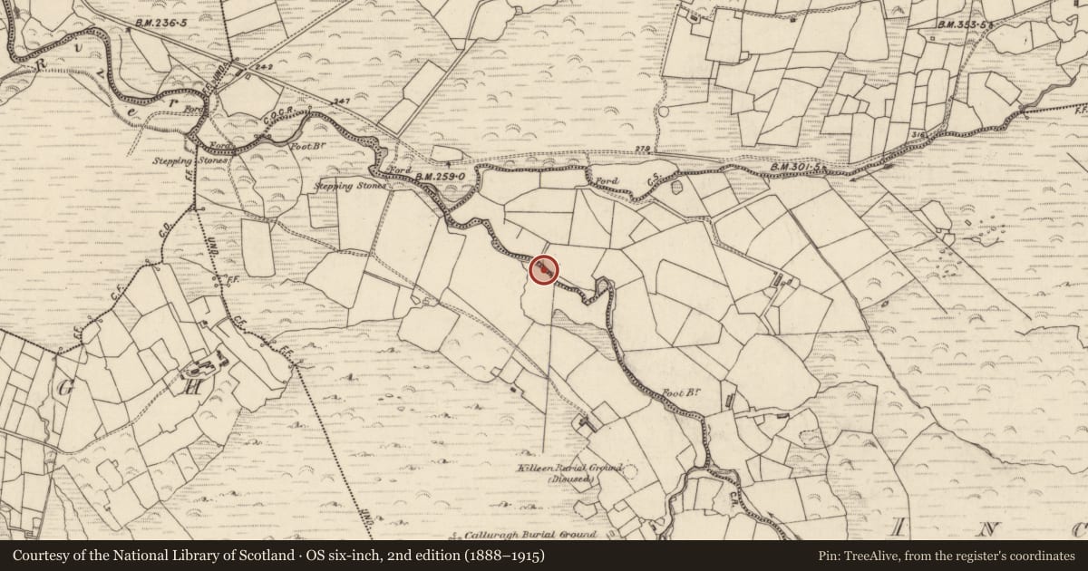 Ordnance Survey six-inch map, 2nd edition (1888–1915) covering the location of Hut site, Inchee West, County Kerry, with a pin at the register's coordinates