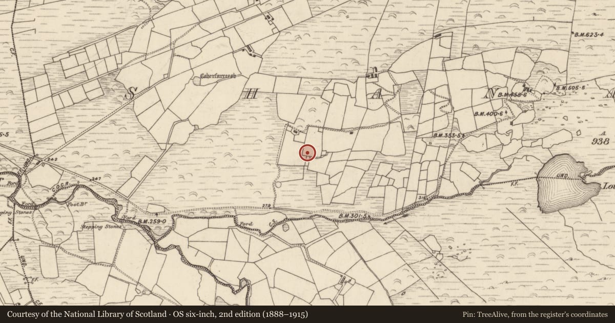 Ordnance Survey six-inch map, 2nd edition (1888–1915) covering the location of Hut site, An Seanchnoc (Dún Cíaráin Theas), County Kerry, with a pin at the register's coordinates