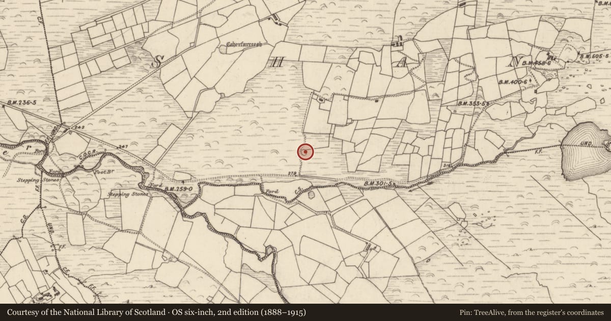Ordnance Survey six-inch map, 2nd edition (1888–1915) covering the location of Ringfort - cashel, An Seanchnoc (Dún Cíaráin Theas), County Kerry, with a pin at the register's coordinates