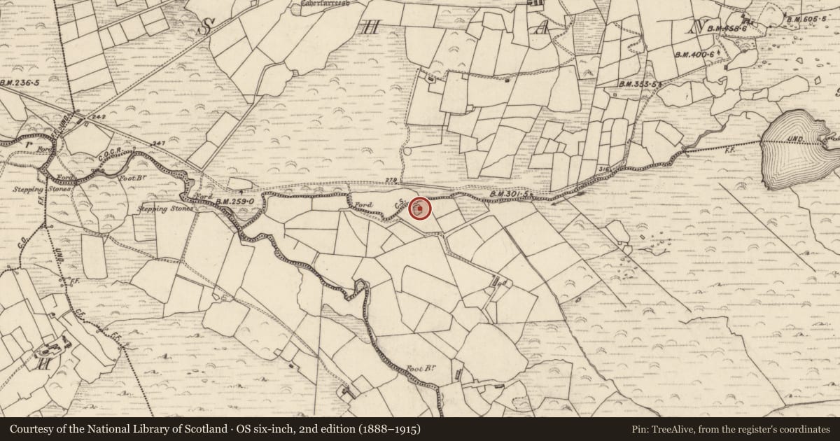 Ordnance Survey six-inch map, 2nd edition (1888–1915) covering the location of Ringfort - cashel, Inchee East, County Kerry, with a pin at the register's coordinates