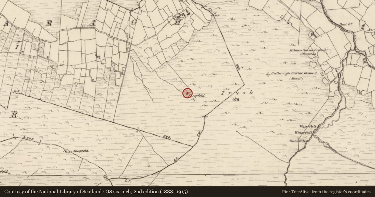 Ordnance Survey six-inch map, 2nd edition (1888–1915) covering the location of Hut site, Ardkearagh, County Kerry, with a pin at the register's coordinates