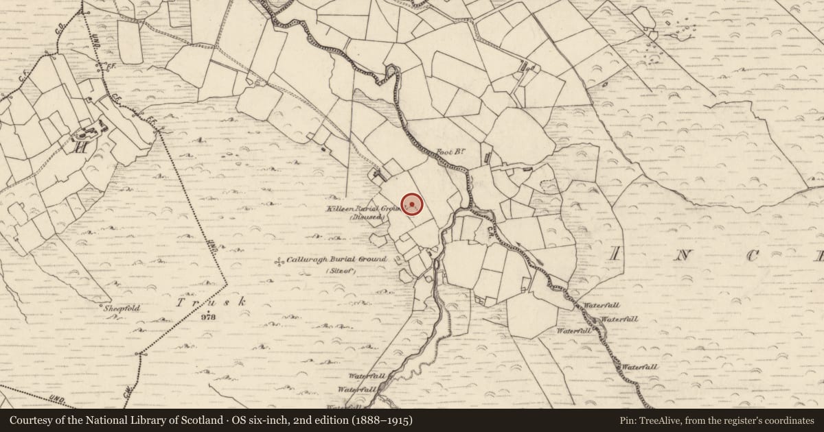 Ordnance Survey six-inch map, 2nd edition (1888–1915) covering the location of Hut site, Inchee West, County Kerry, with a pin at the register's coordinates
