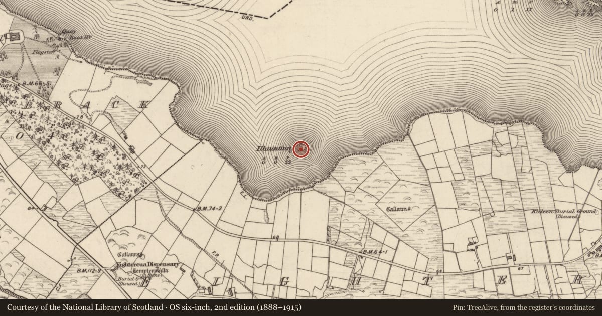 Ordnance Survey six-inch map, 2nd edition (1888–1915) covering the location of Castle - tower house, Lough Currane, County Kerry, with a pin at the register's coordinates