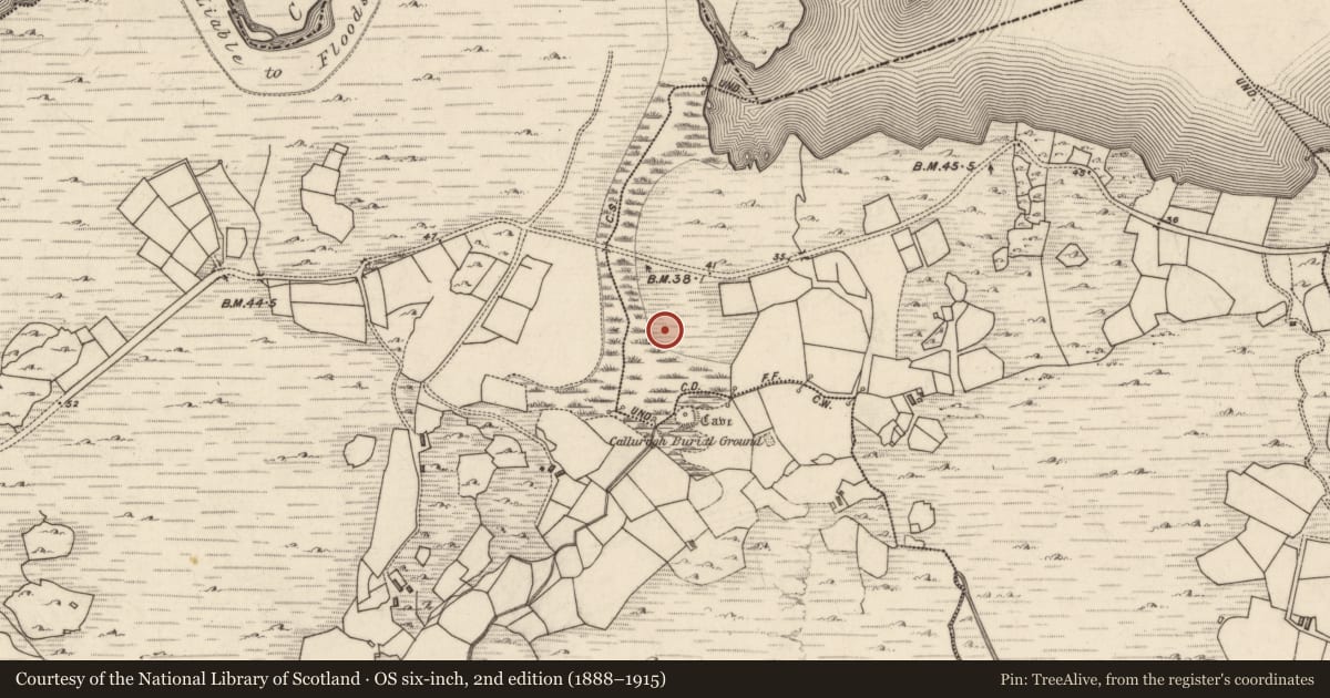 Ordnance Survey six-inch map, 2nd edition (1888–1915) covering the location of Hut site, Gort Na Meacanaí, County Kerry, with a pin at the register's coordinates