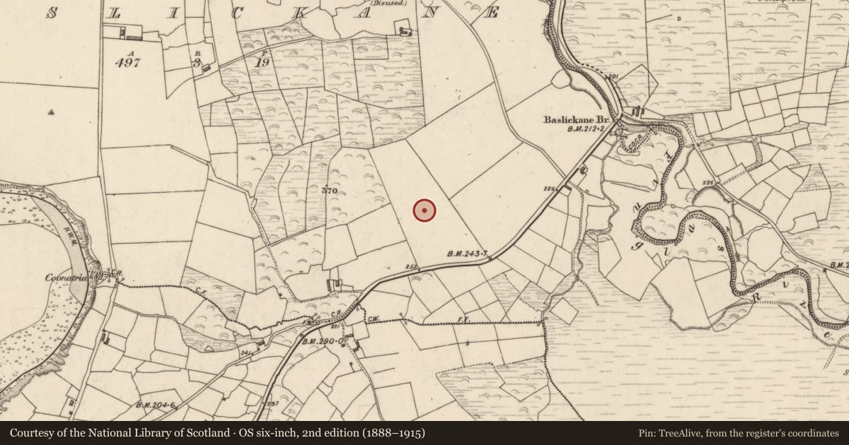 Ordnance Survey six-inch map, 2nd edition (1888–1915) covering the location of Cist, Baslickane, County Kerry, with a pin at the register's coordinates