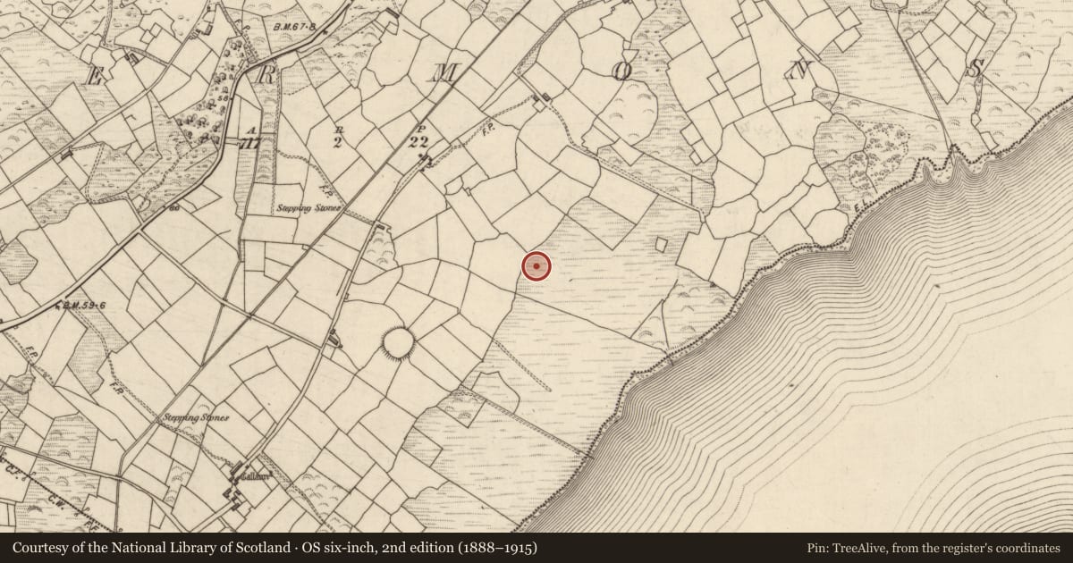 Ordnance Survey six-inch map, 2nd edition (1888–1915) covering the location of Hut site, Termons, County Kerry, with a pin at the register's coordinates