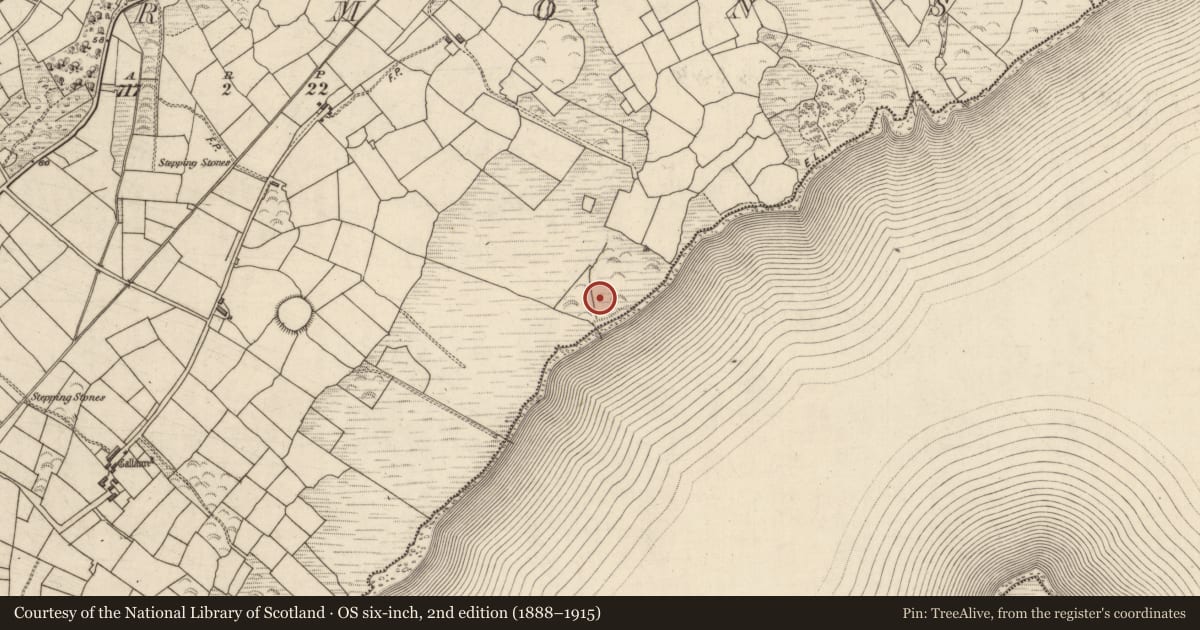 Ordnance Survey six-inch map, 2nd edition (1888–1915) covering the location of Fulacht fia, Termons, County Kerry, with a pin at the register's coordinates