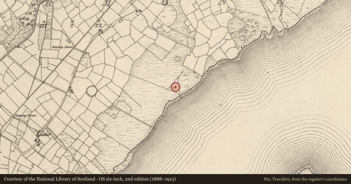 Ordnance Survey six-inch map, 2nd edition (1888–1915) covering the location of Burnt spread, Termons, County Kerry, with a pin at the register's coordinates