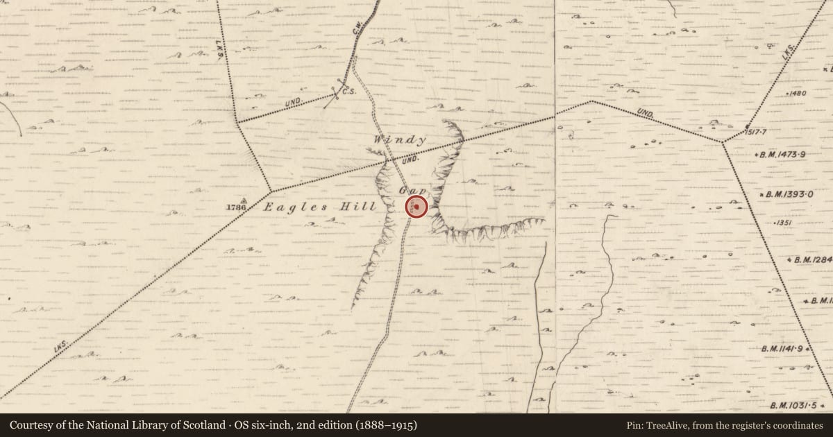 Ordnance Survey six-inch map, 2nd edition (1888–1915) covering the location of Ritual site - holy well, Gowlanes, County Kerry, with a pin at the register's coordinates