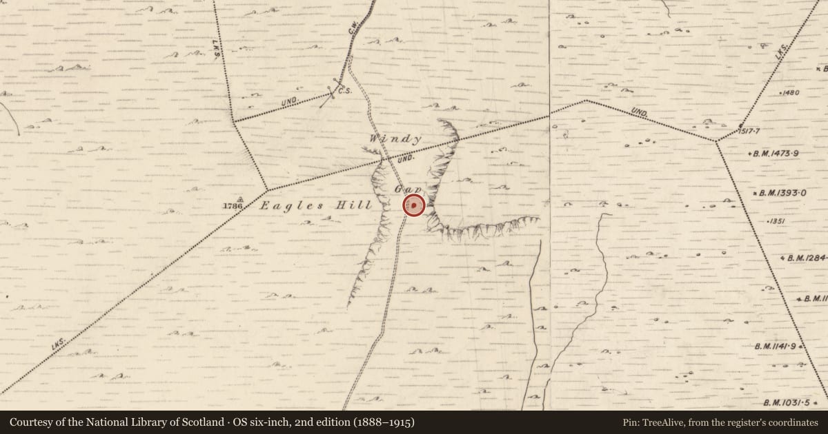Ordnance Survey six-inch map, 2nd edition (1888–1915) covering the location of Cross-slab, Gowlanes, County Kerry, with a pin at the register's coordinates