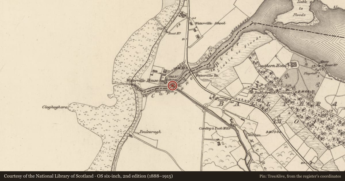 Ordnance Survey six-inch map, 2nd edition (1888–1915) covering the location of Weir - fish, Waterville, Baslickane, County Kerry, with a pin at the register's coordinates