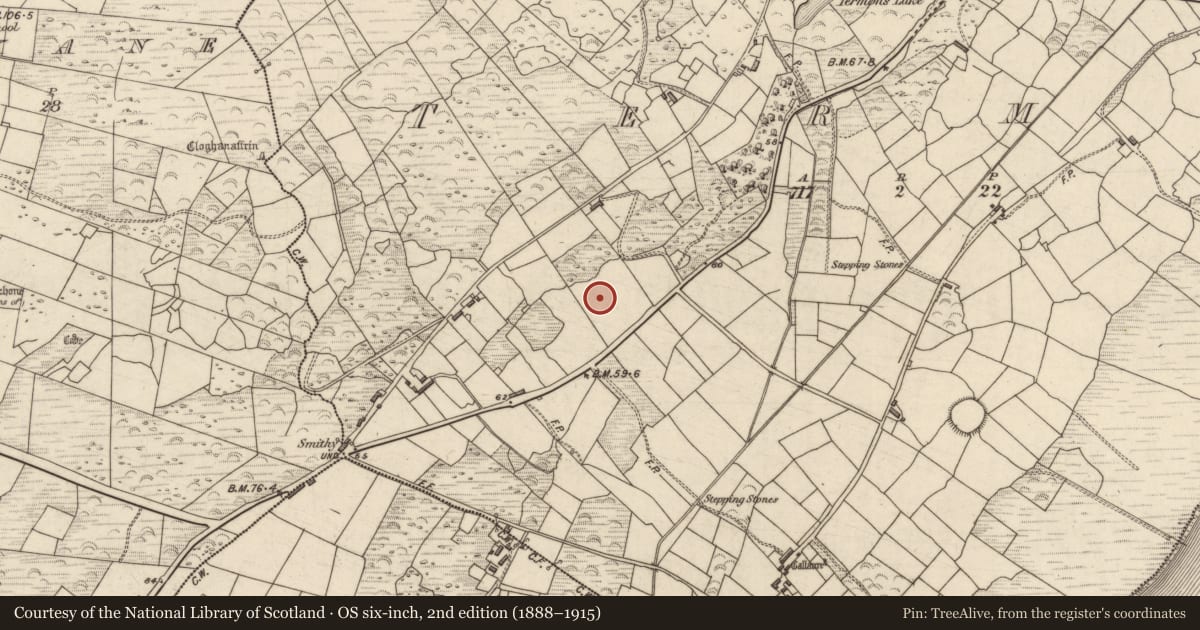 Ordnance Survey six-inch map, 2nd edition (1888–1915) covering the location of Enclosure, Termons, County Kerry, with a pin at the register's coordinates