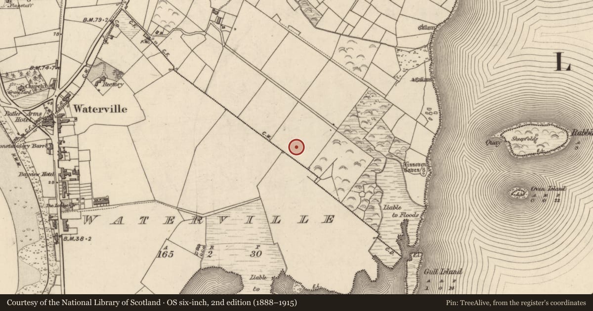 Ordnance Survey six-inch map, 2nd edition (1888–1915) covering the location of Enclosure, An Bhinn Bhán (Uíbh Ráthach), County Kerry, with a pin at the register's coordinates