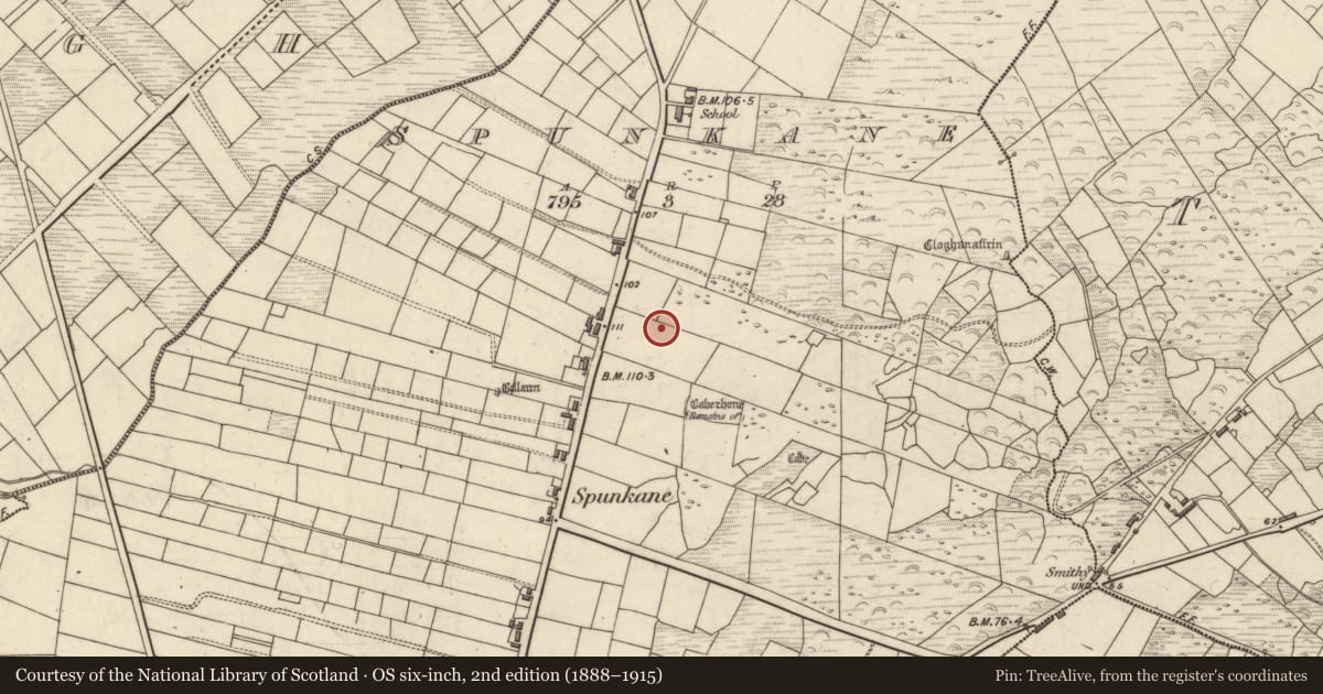 Ordnance Survey six-inch map, 2nd edition (1888–1915) covering the location of Standing stone, Spunkane, County Kerry, with a pin at the register's coordinates