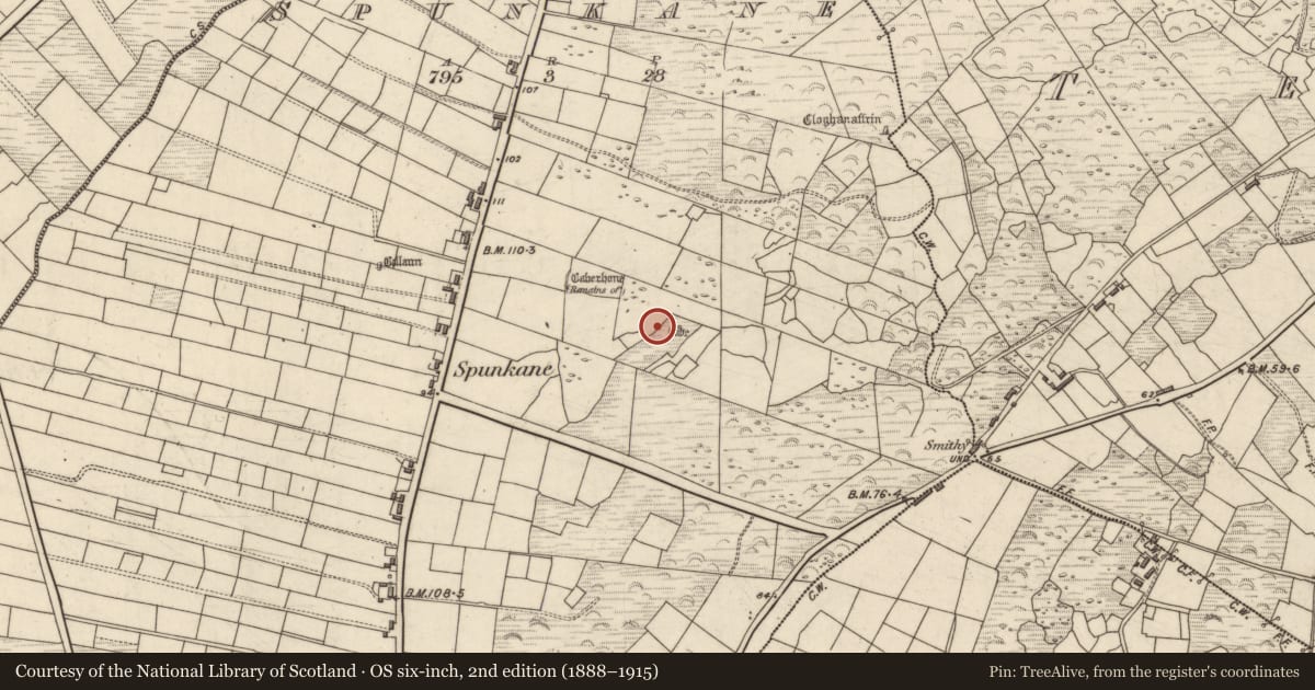Ordnance Survey six-inch map, 2nd edition (1888–1915) covering the location of Cross-inscribed stone, Spunkane, County Kerry, with a pin at the register's coordinates