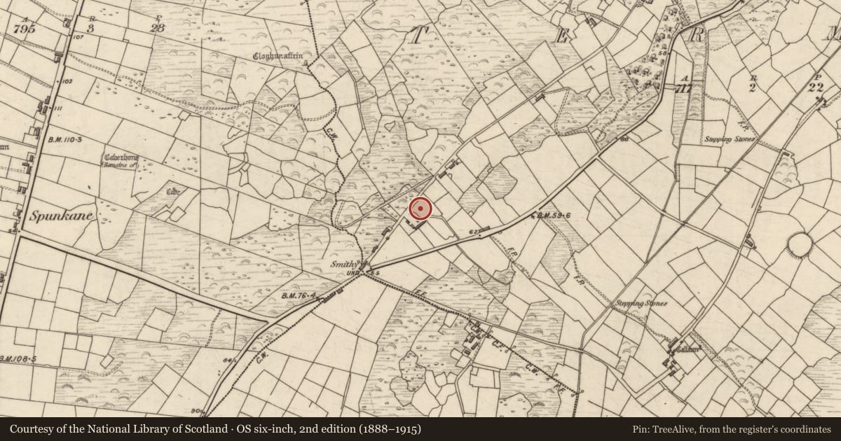 Ordnance Survey six-inch map, 2nd edition (1888–1915) covering the location of Standing stone, Termons, County Kerry, with a pin at the register's coordinates