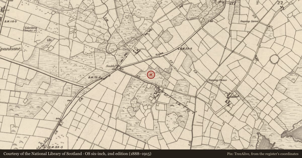Ordnance Survey six-inch map, 2nd edition (1888–1915) covering the location of Standing stone, Termons, County Kerry, with a pin at the register's coordinates